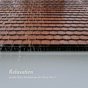 Relaxation: Gentle Rain Soundscape for Sleep Vol. 1 - Sleepy Dogs