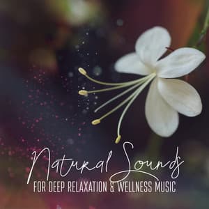 Natural Sounds for Deep Relaxation & Wellness Music : Aromatherapy, Massage, Healing Sounds - Natural Zen Meditation White Noise
