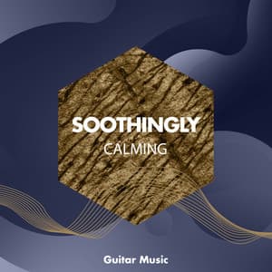 zZz Soothingly Calming Guitar Music zZz - Palm Analogue