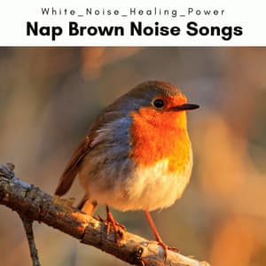 1 Nap Brown Noise Songs - White Noise Healing Power