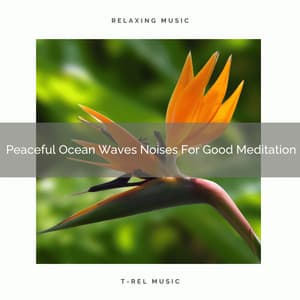 Peaceful Ocean Waves Noises For Good Meditation - Eternal Relax
