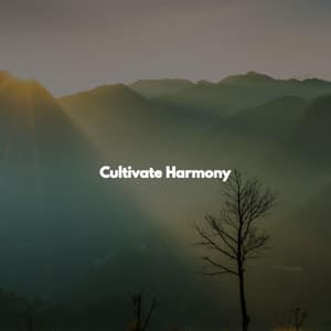 Cultivate Harmony - Work from Home Classics