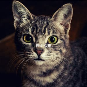 静かな夜 - Japan Cafe BGM