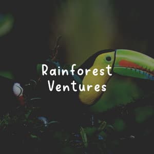 Rainforest Ventures - Rainforest Ambience