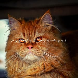 ハッピージャズ、ハッピーキャット - Jazz Café Bar