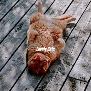 Lovely Cats - Jazz Connections for Reading