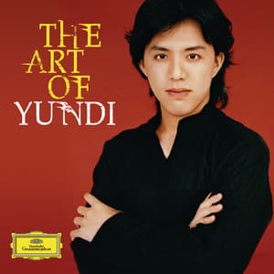 The Art Of Yundi - YUNDI