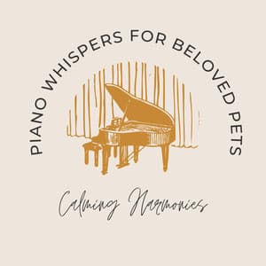 Piano Whispers for Beloved Pets: Calming Harmonies - Chillout Piano Session
