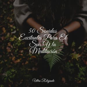 50 Sonidos Excitantes Para El Spa Y la Meditación - Relajación
