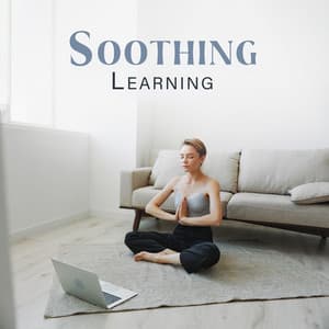 Soothing Learning: Zen Deep Awareness, Harmony Between Nature and Concentration - Creative Mind Master