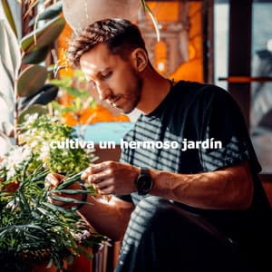 cultiva un hermoso jardín - Musica Jazz di Sottofondo