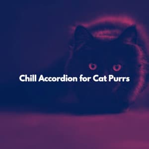 Chill Accordion for Cat Purrs - Musica para Leer Playlist
