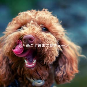 犬と過ごす週末の朝チューン - New York City Jazz Club