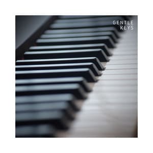 Gentle Keys: Calm Piano Sounds - Piano Melody Masters