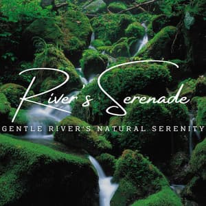 River's Serenade: Tranquil Stream Sounds - Tranquil Cove