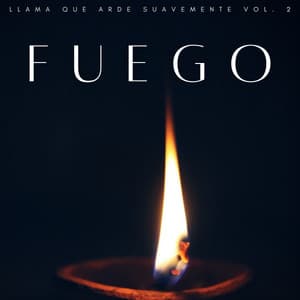 Fuego: Llama Que Arde Suavemente Vol. 2 - Naturaleza Ruido