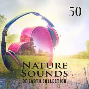 50 Nature Sounds of Earth Collection: Ambient Nature for Self Healing - Forest Winstone