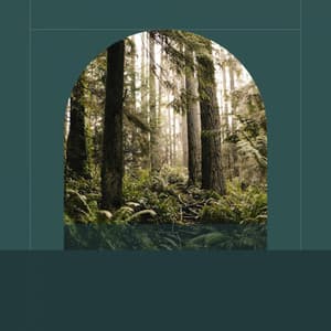 Music - Relaxing Days - Musique pour Travailler Classiques