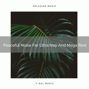 Peaceful Noise For Ultra Nap And Mega Rest - Sleepy Noise