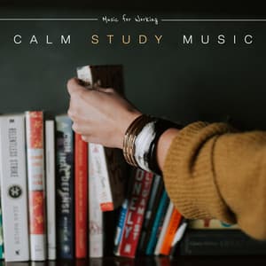 Calm Study Music - Music for Working