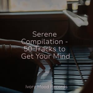 Serene Compilation - 50 Tracks to Get Your Mind - Ivory Mood