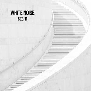 White Noise, Vol. 11 - White Noise
