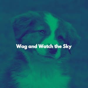 Wag and Watch the Sky - Música para Oficinas Musica De Fondo