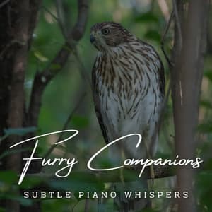 Canine Serenades: Meditative Piano for Furry Companions - Piano Prayer