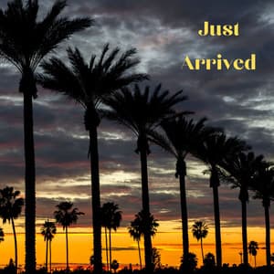 Just Arrived - Beach Top Sounders