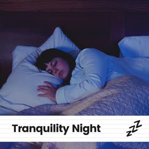 Tranquility Night - Deep Sleep Music Maestro