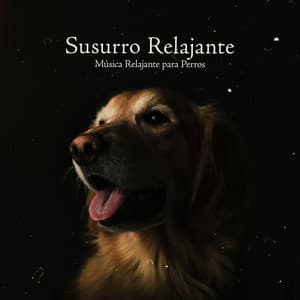Susurro Relajante - Música Relajante para Perros