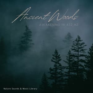 Ancient Woods Awakening in 432 Hz - Nature Sounds & Music Library