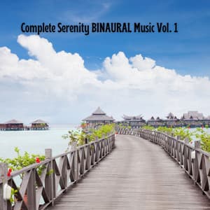Complete Serenity BINAURAL Music Vol. 1 - Acupuncture Music Experience