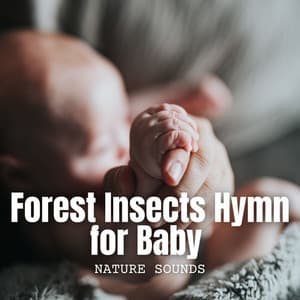Nature Sounds: Forest Insects Hymn for Baby - Call Of Nature