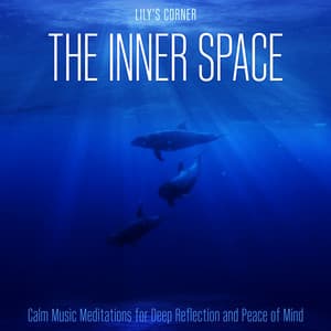 The Inner Space: Calm Music Meditations for Deep Reflection and Peace of Mind - Lily's Corner
