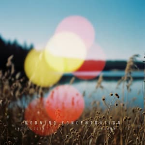 Morning Concentration - Intellecta