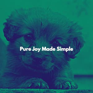 Pure Joy Made Simple - Musica para Estudiar