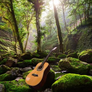 Reflexiones De Guitarra: Felicidad Melódica Relajante - Spanish Guitar Frasquito El Perete