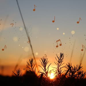 Sonic Wisdom - Music for Mindful Breaths - Plectrasonics