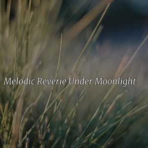 Melodic Reverie Under Moonlight - Woodland Friends