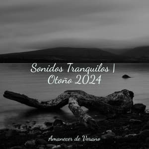 Sonidos Tranquilos | Otoño 2024 - Musica Romantica