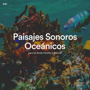 #01 Paisajes Sonoros Oceánicos para Un Ruido Pacífico y Natural - Olas del Mar