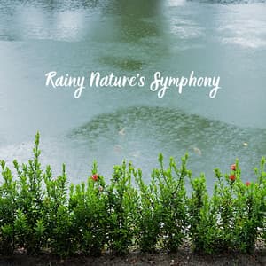 Rainy Nature's Symphony - Nature and Rain