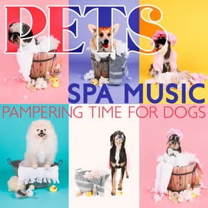 Pets SPA Music: Pampering Time for Dogs: Hz 432 – Hz 528 Spa for Dogs, Relaxing Music for Pet Salon, Music Dogs Therapy for Stress Relief, Anxiety Medication, Sleep Aids - Sleepy Dogs!