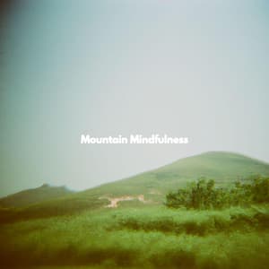 Mountain Mindfulness - Dinner & Instrumental Jazz