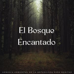 El Bosque Encantado: Armonía Ambiental De La Naturaleza Para Meditar - Efectos especiales del bosque
