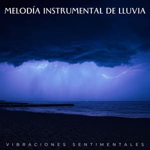 Melodía Instrumental De Lluvia: Vibraciones Sentimentales - Pasión por el piano