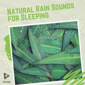 Natural Rain Sounds for Sleeping - #Calming
