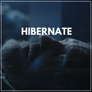 Hibernate - Sleep Meditation Dream Catcher