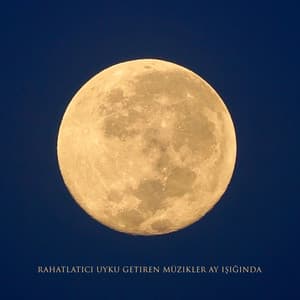 Rahatlatıcı Uyku Getiren Müzikler Ay Işığında - Bebek Uyku Ninnileri